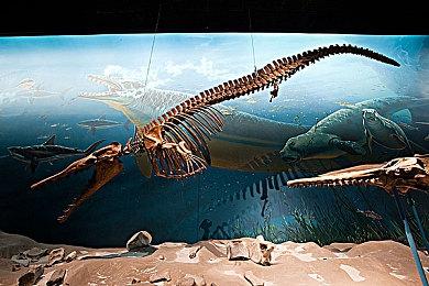 《星际公民》2023玩家大会总结：新技术将改变业界！