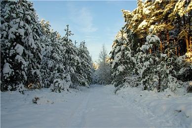 动作冒险游戏《逃离木乃伊》现已推出试玩Demo 预计2024年第四季度发行