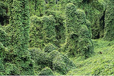 《勇者斗恶龙：达伊的大冒险》新系统情报 9月29日发售